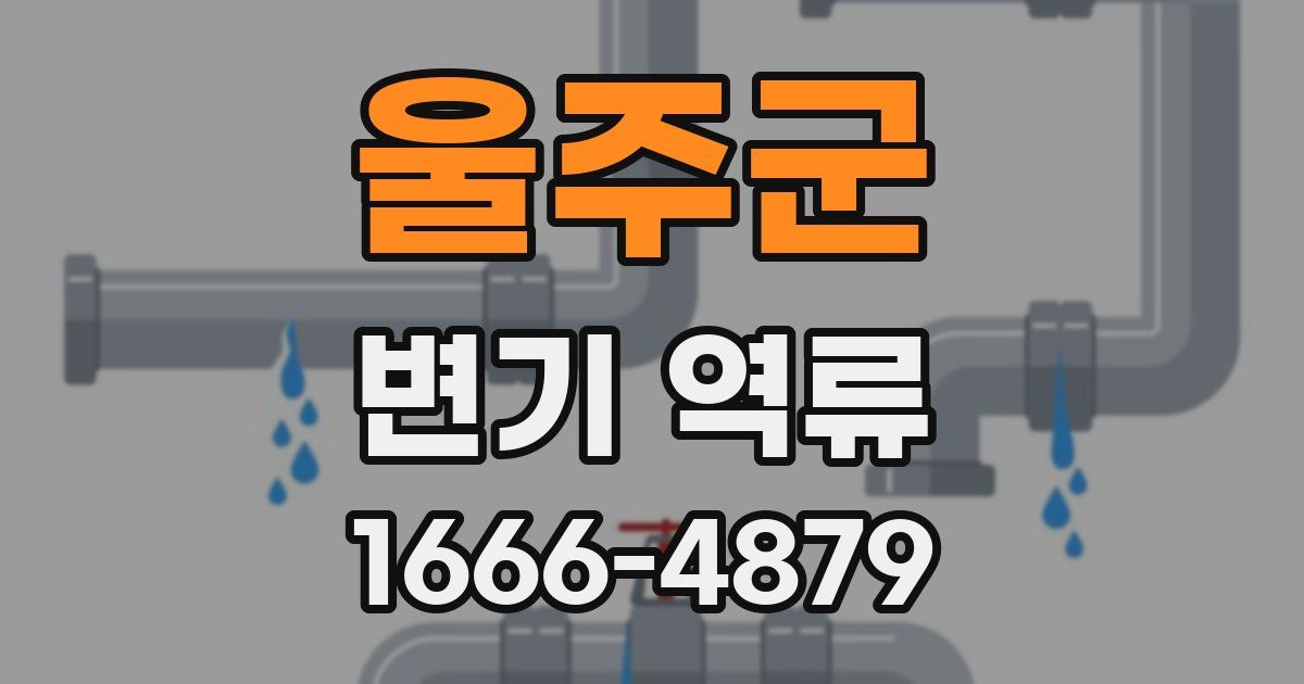 울주군 변기 역류