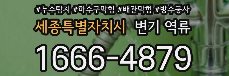 세종특별자치시 변기 역류