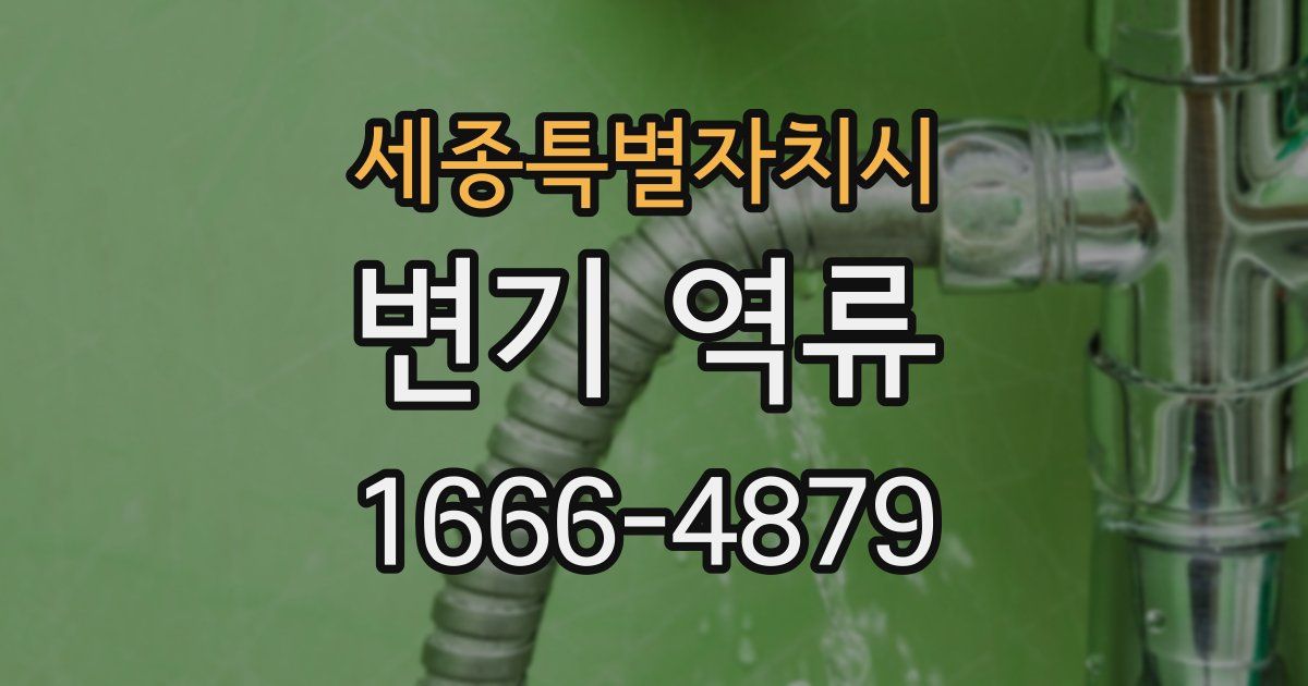 세종특별자치시 변기 역류