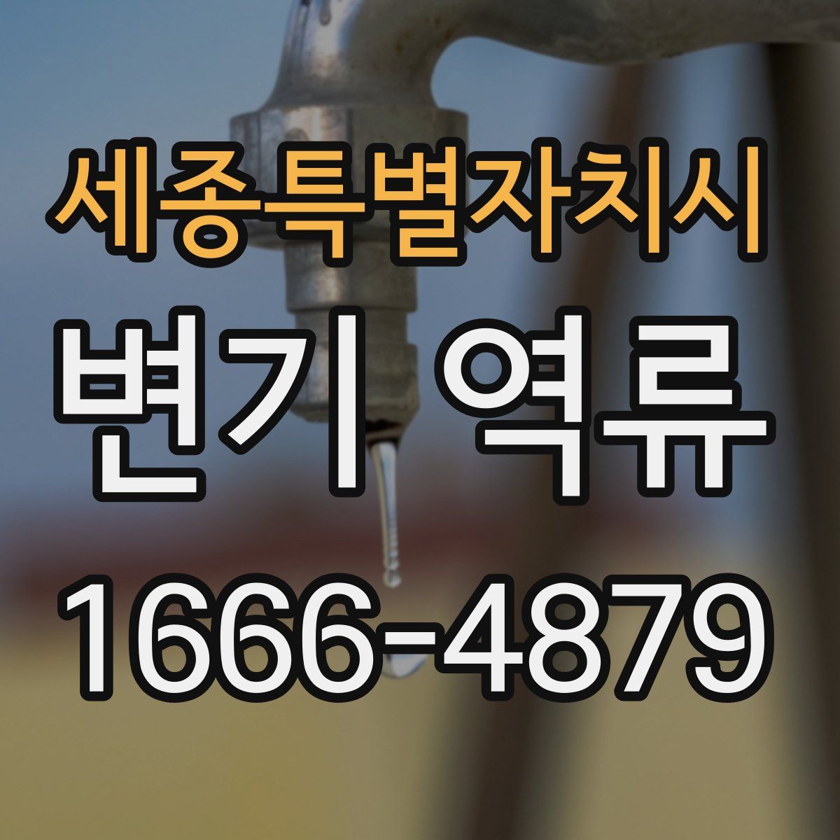 세종특별자치시 변기 역류