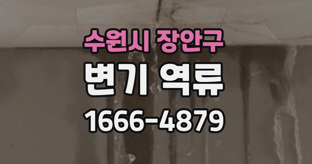 수원시 장안구 변기 역류