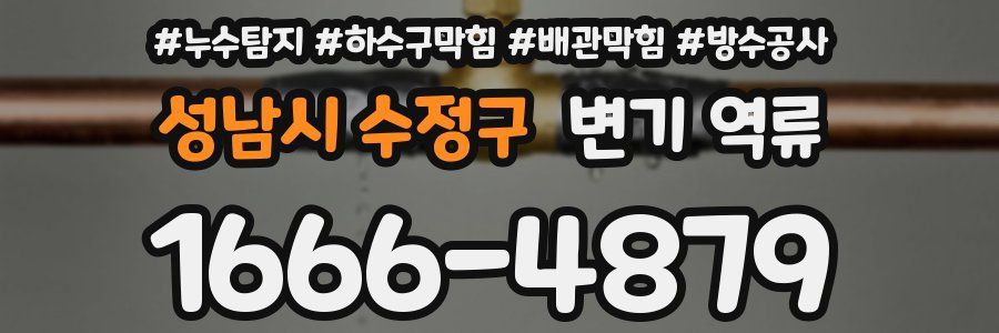 성남시 수정구 변기 역류