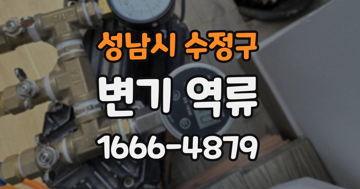 성남시 수정구 변기 역류