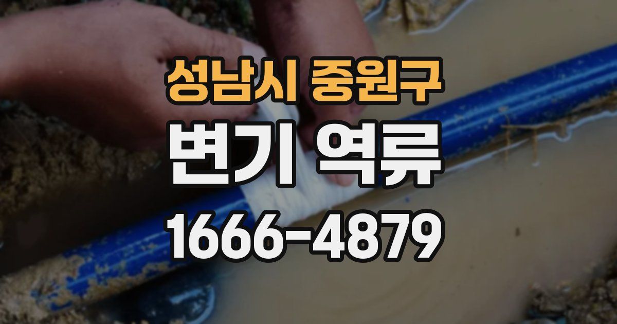성남시 중원구 변기 역류