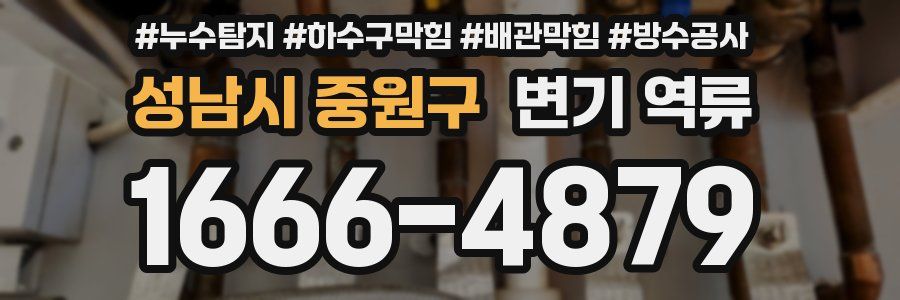 성남시 중원구 변기 역류