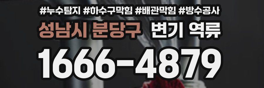 성남시 분당구 변기 역류