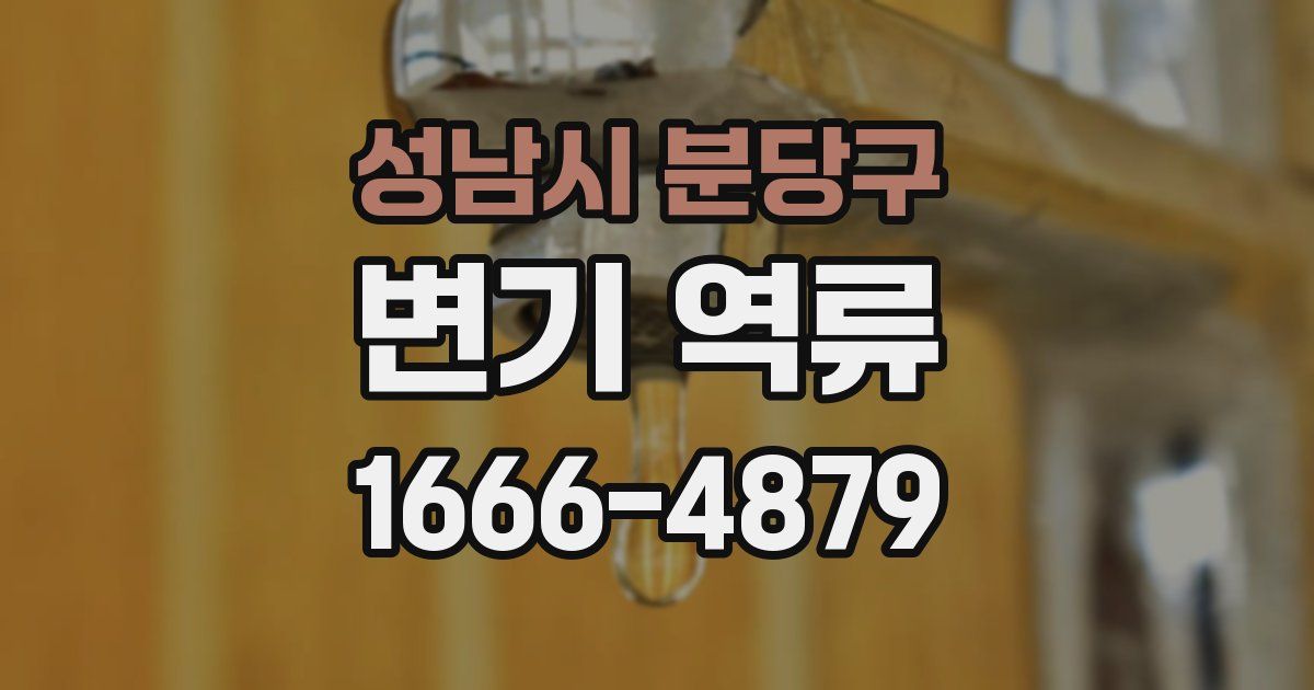 성남시 분당구 변기 역류
