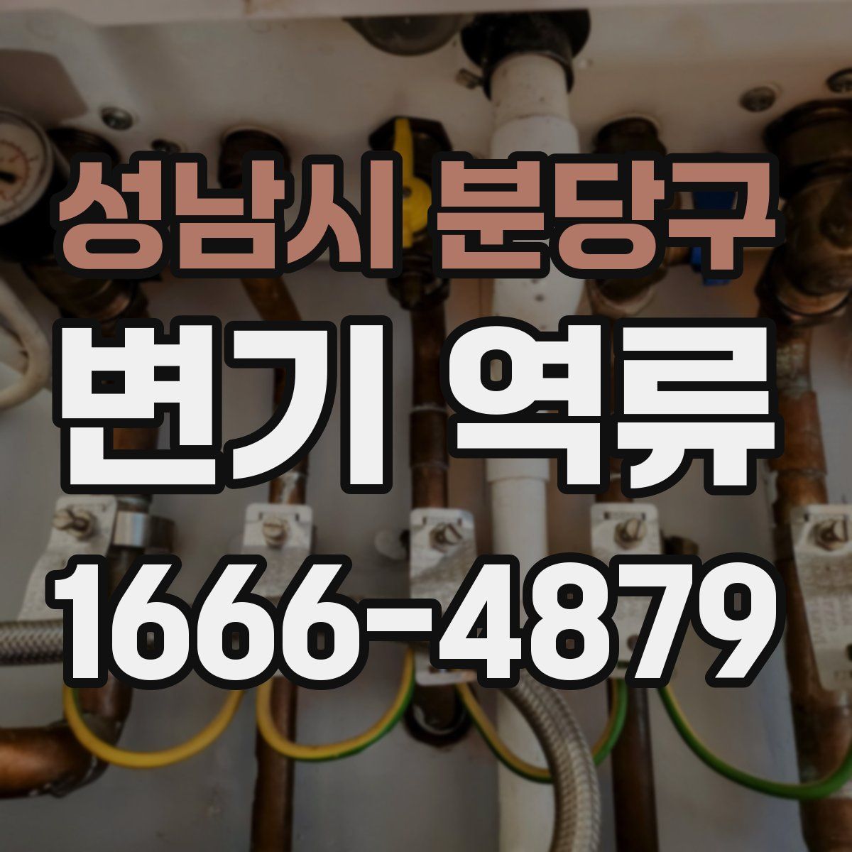 성남시 분당구 변기 역류