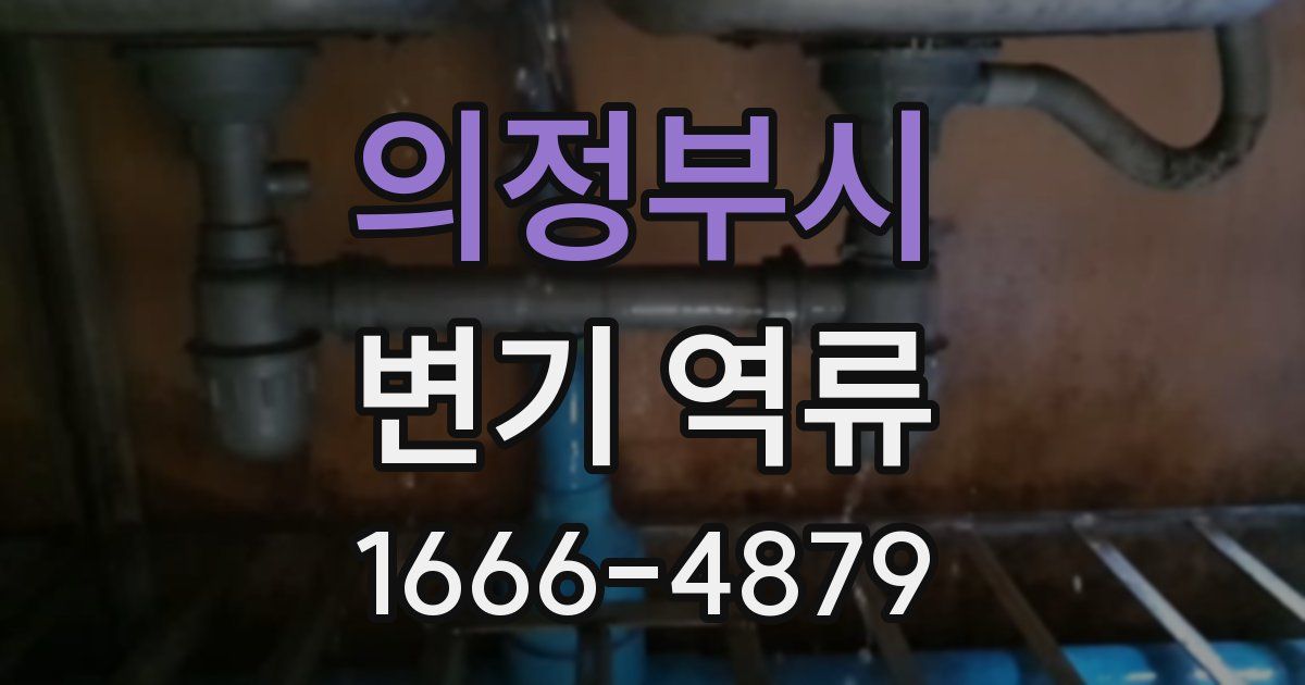 의정부시 변기 역류