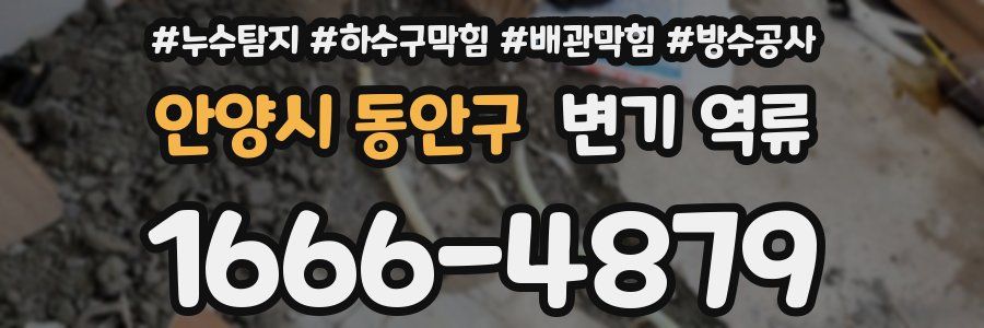 안양시 동안구 변기 역류