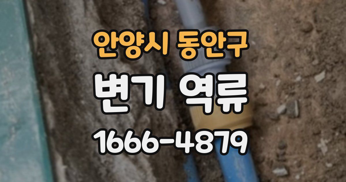 안양시 동안구 변기 역류