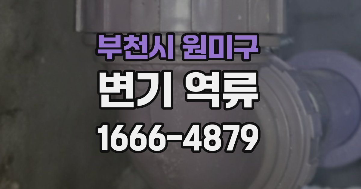 부천시 원미구 변기 역류