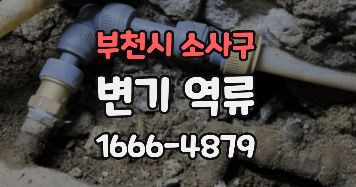 부천시 소사구 변기 역류