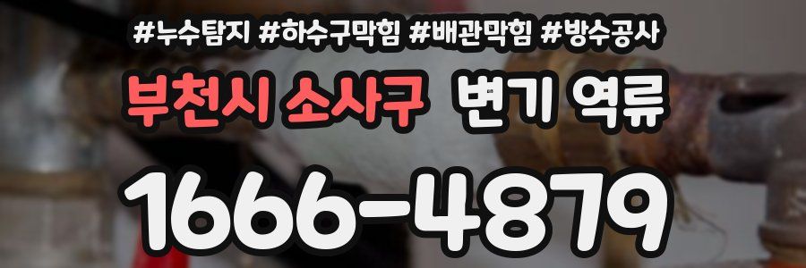 부천시 소사구 변기 역류