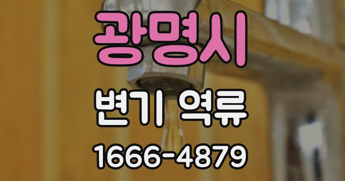 광명시 변기 역류