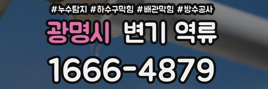 광명시 변기 역류