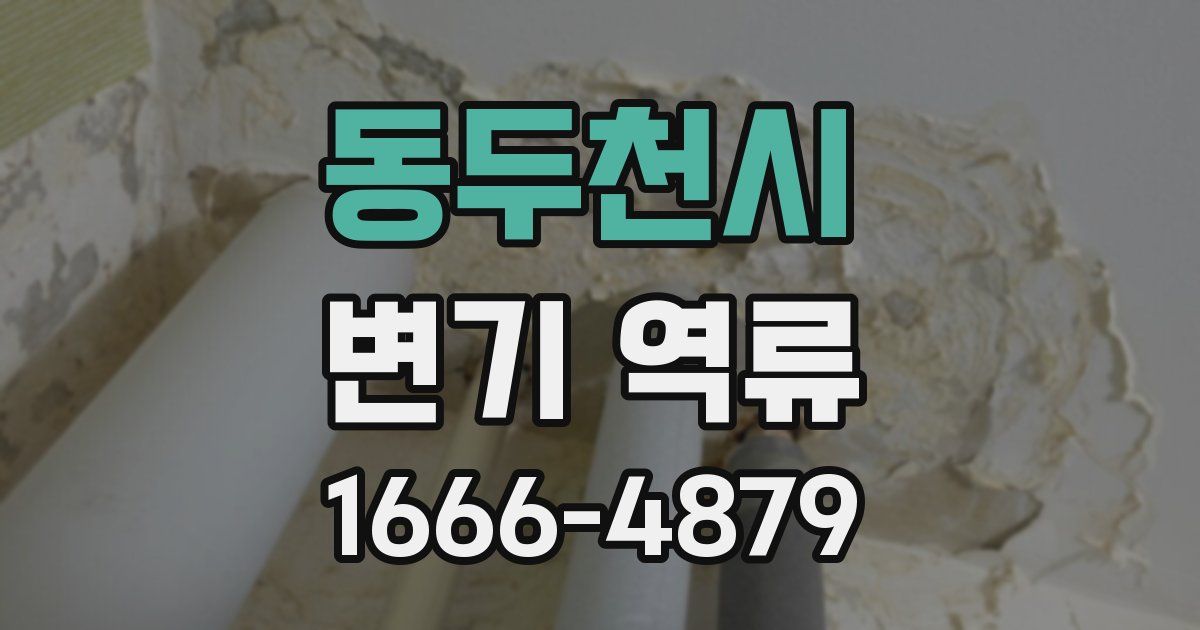 동두천시 변기 역류