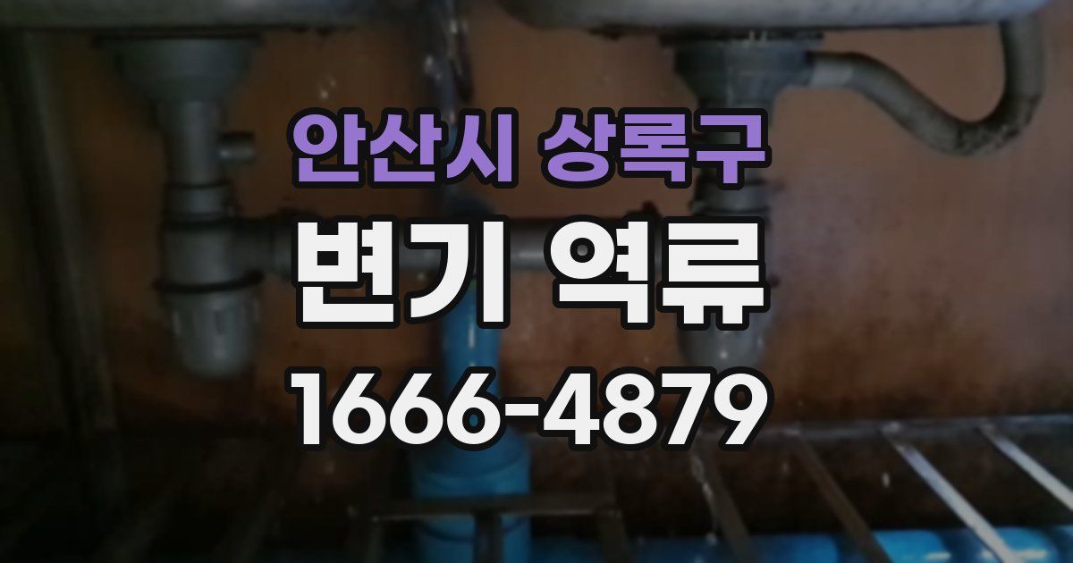 안산시 상록구 변기 역류