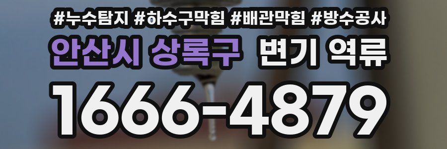 안산시 상록구 변기 역류