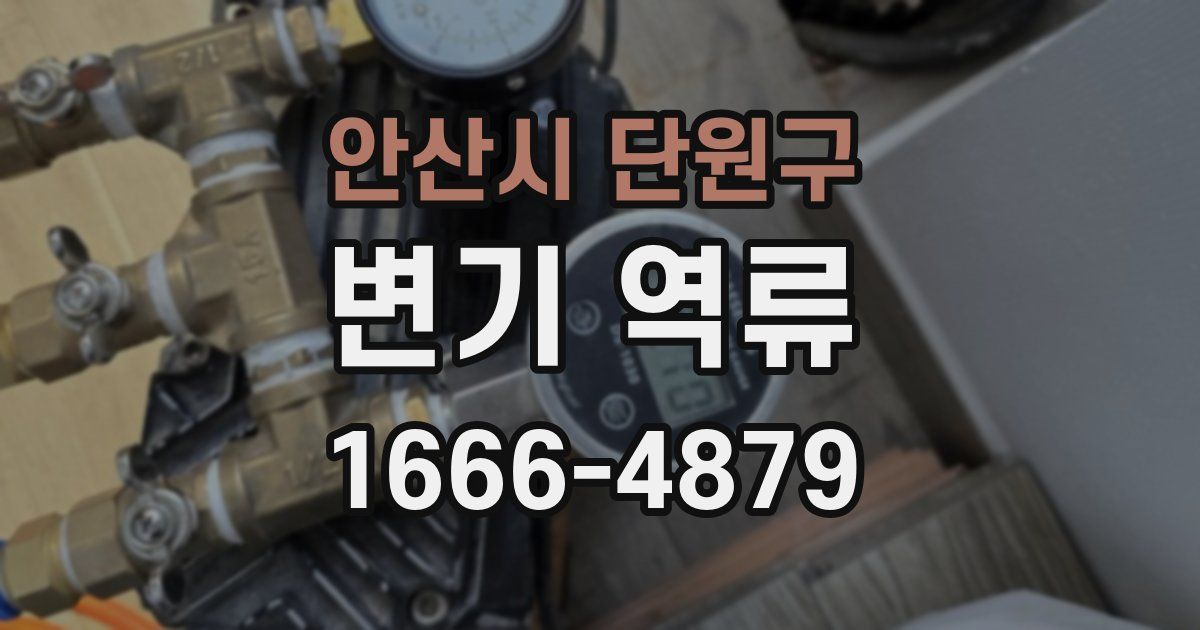 안산시 단원구 변기 역류