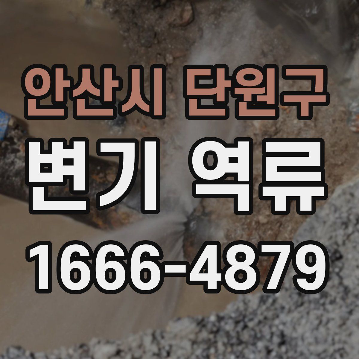 안산시 단원구 변기 역류