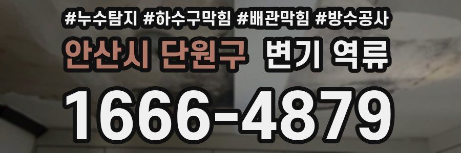 안산시 단원구 변기 역류