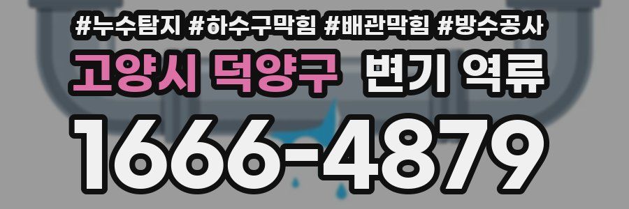 고양시 덕양구 변기 역류