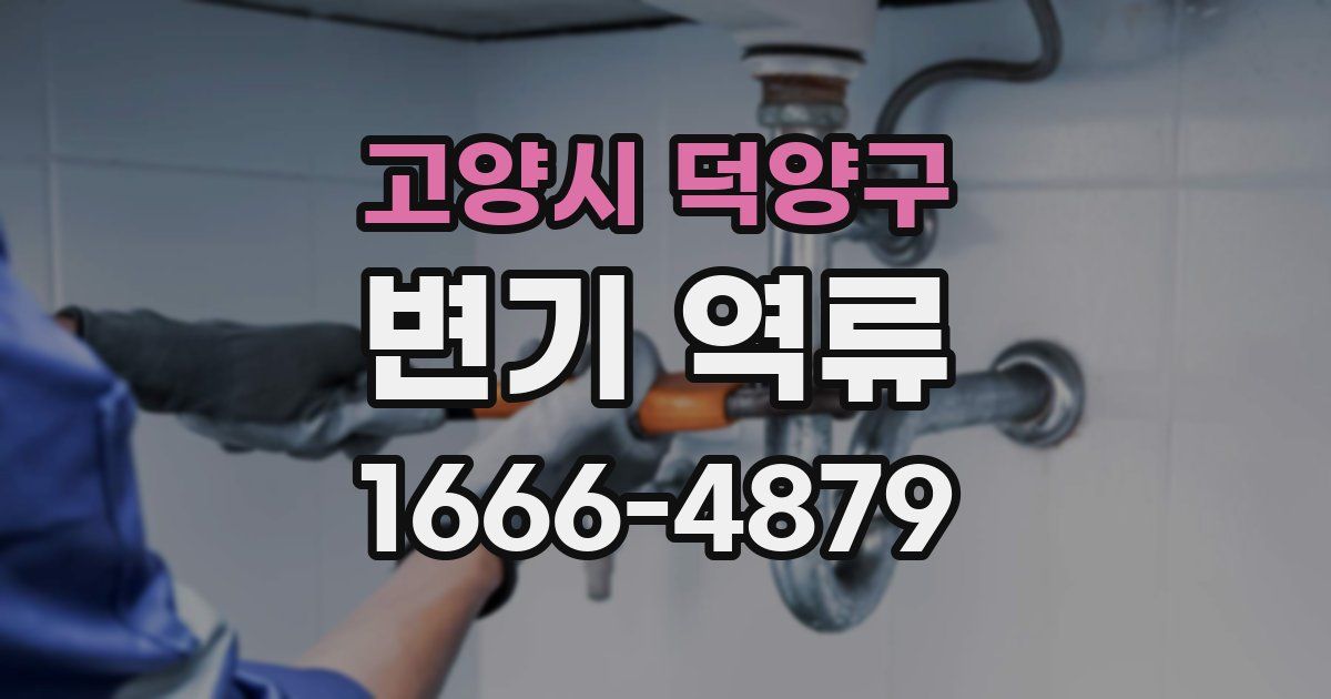 고양시 덕양구 변기 역류