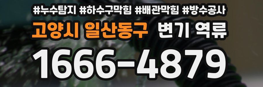 고양시 일산동구 변기 역류