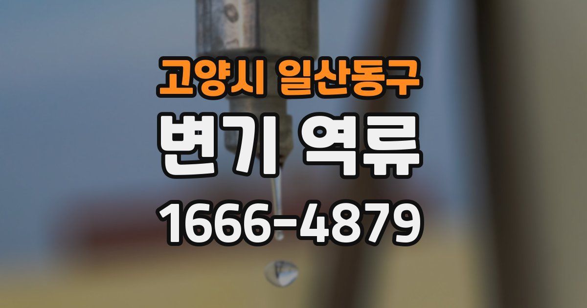 고양시 일산동구 변기 역류