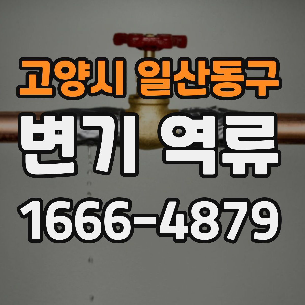 고양시 일산동구 변기 역류