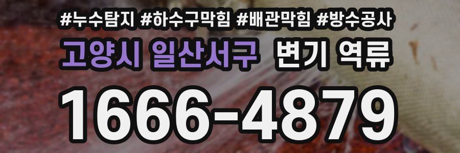 고양시 일산서구 변기 역류