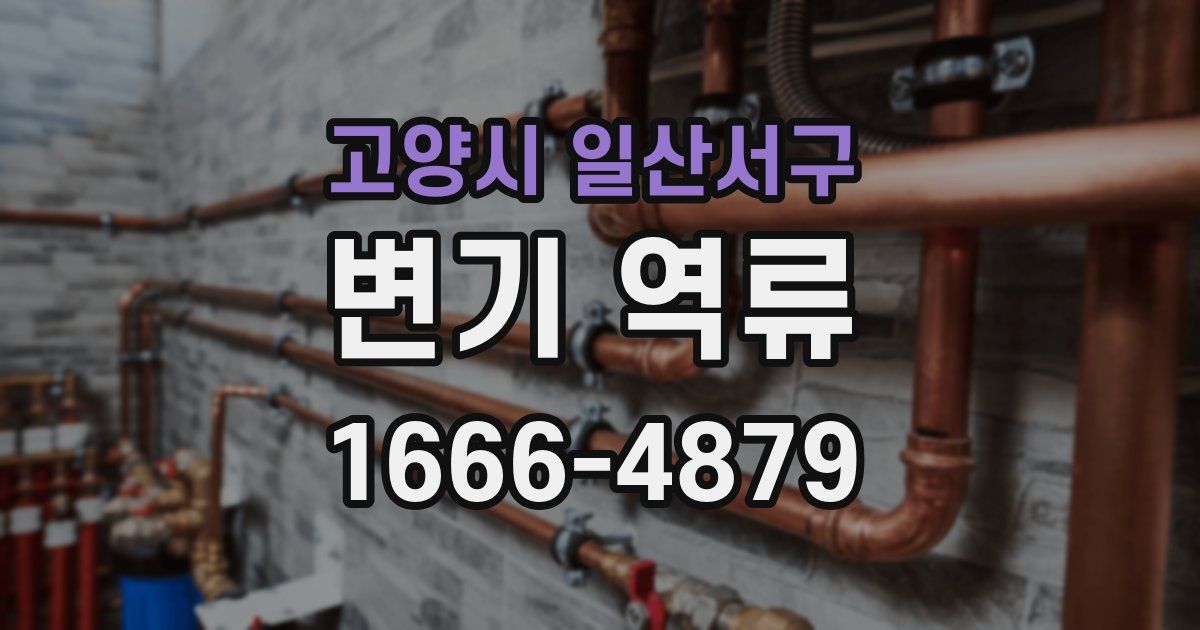 고양시 일산서구 변기 역류