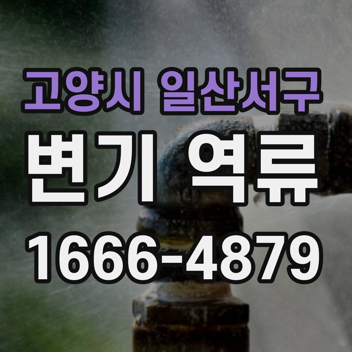 고양시 일산서구 변기 역류