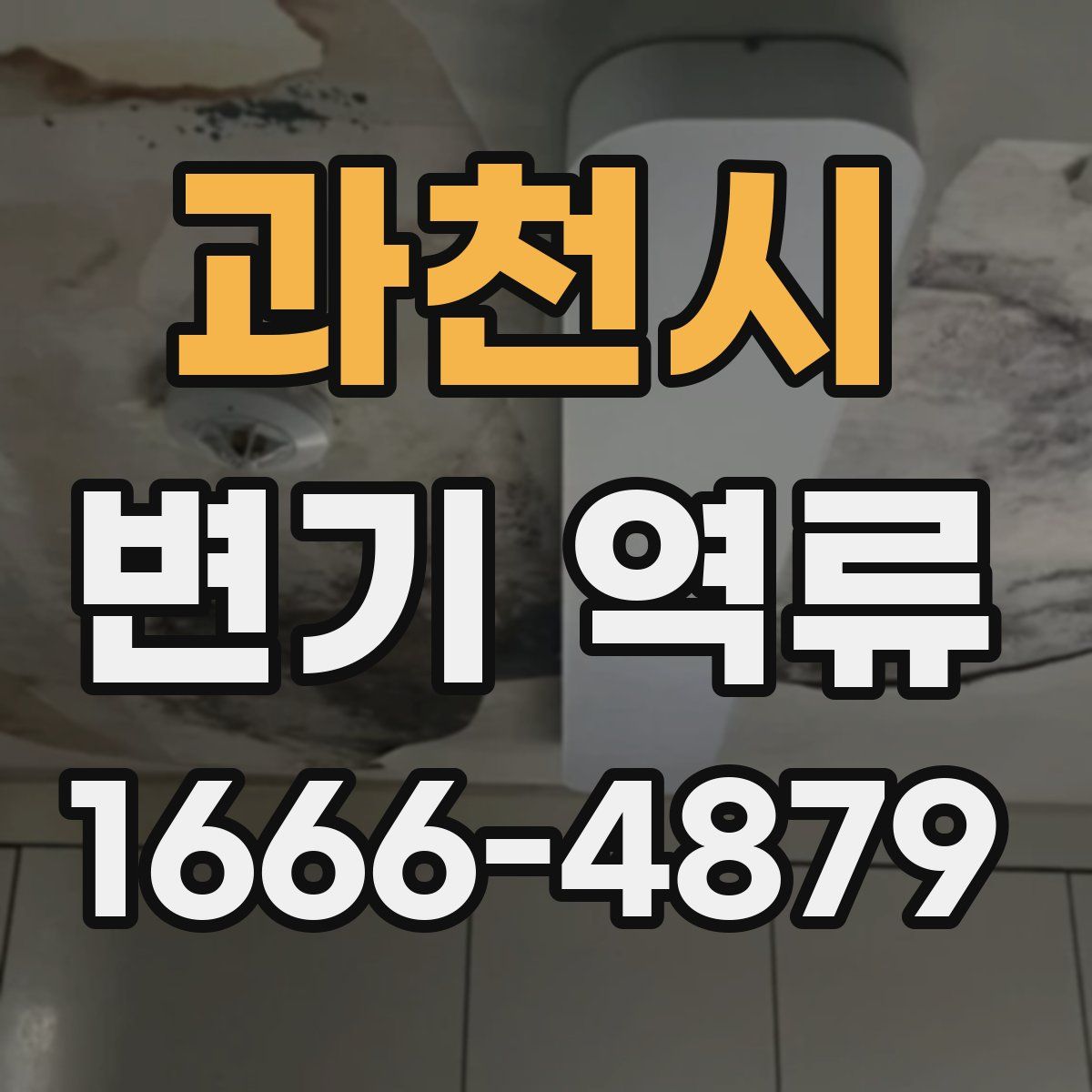 과천시 변기 역류