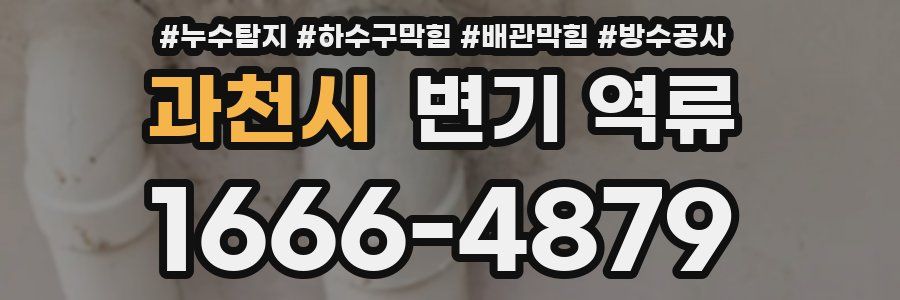 과천시 변기 역류