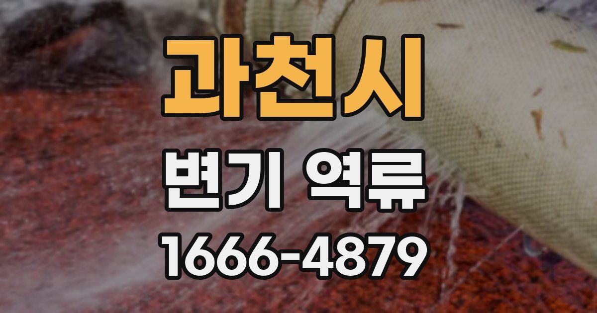 과천시 변기 역류