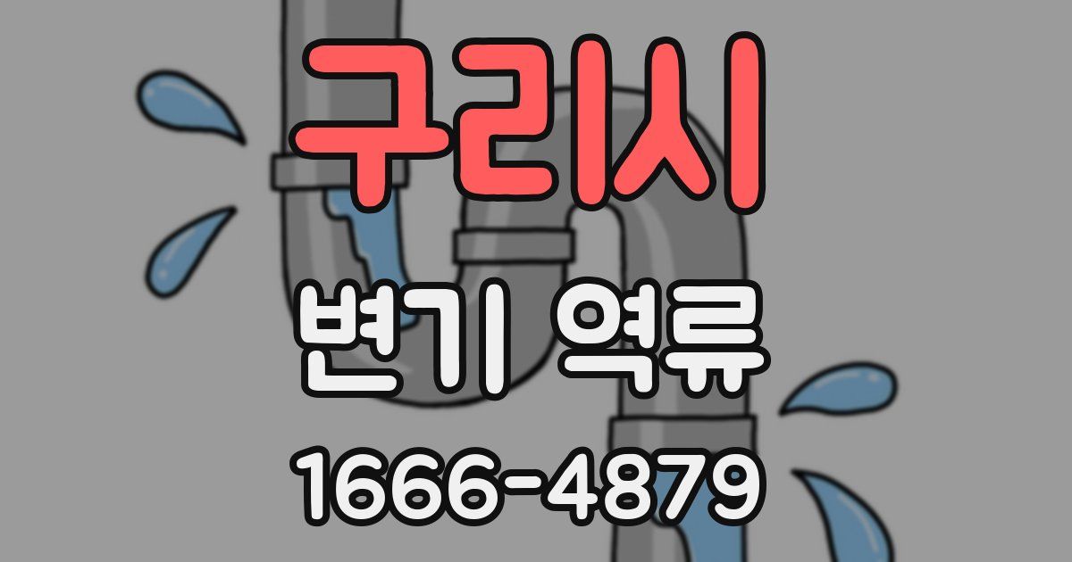 구리시 변기 역류