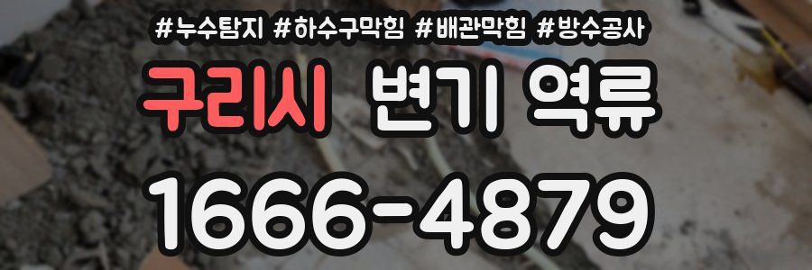 구리시 변기 역류