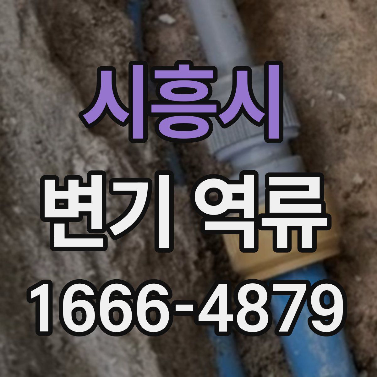 시흥시 변기 역류