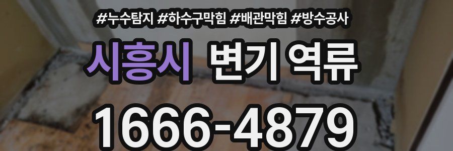 시흥시 변기 역류