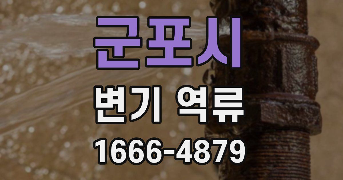 군포시 변기 역류