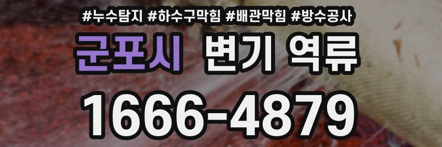 군포시 변기 역류
