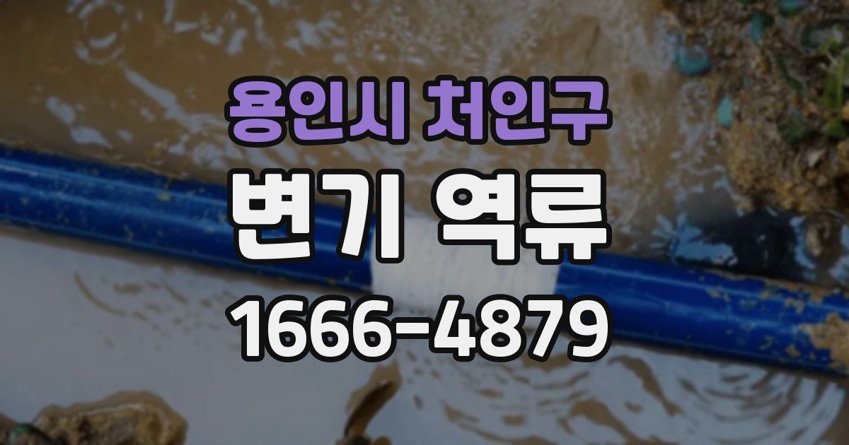 용인시 처인구 변기 역류