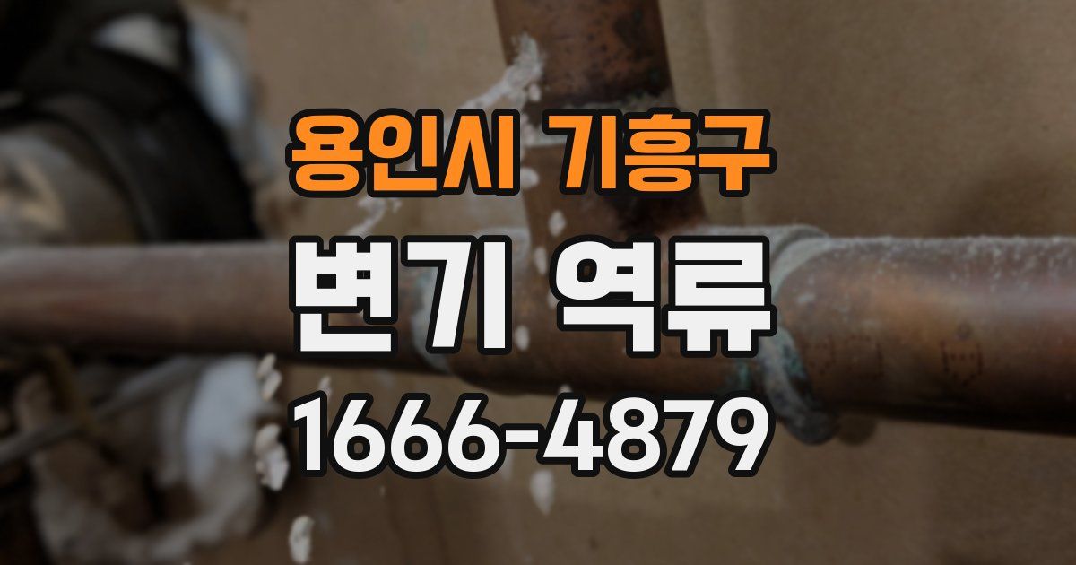 용인시 기흥구 변기 역류