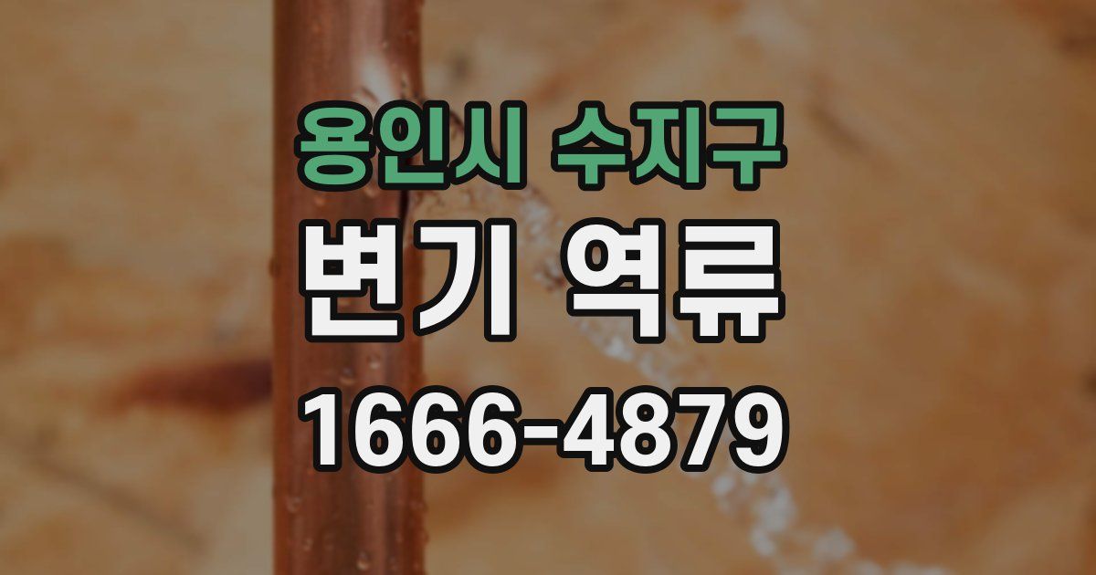 용인시 수지구 변기 역류