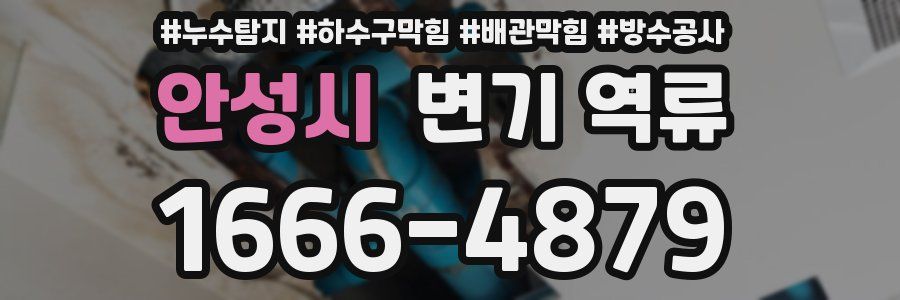 안성시 변기 역류