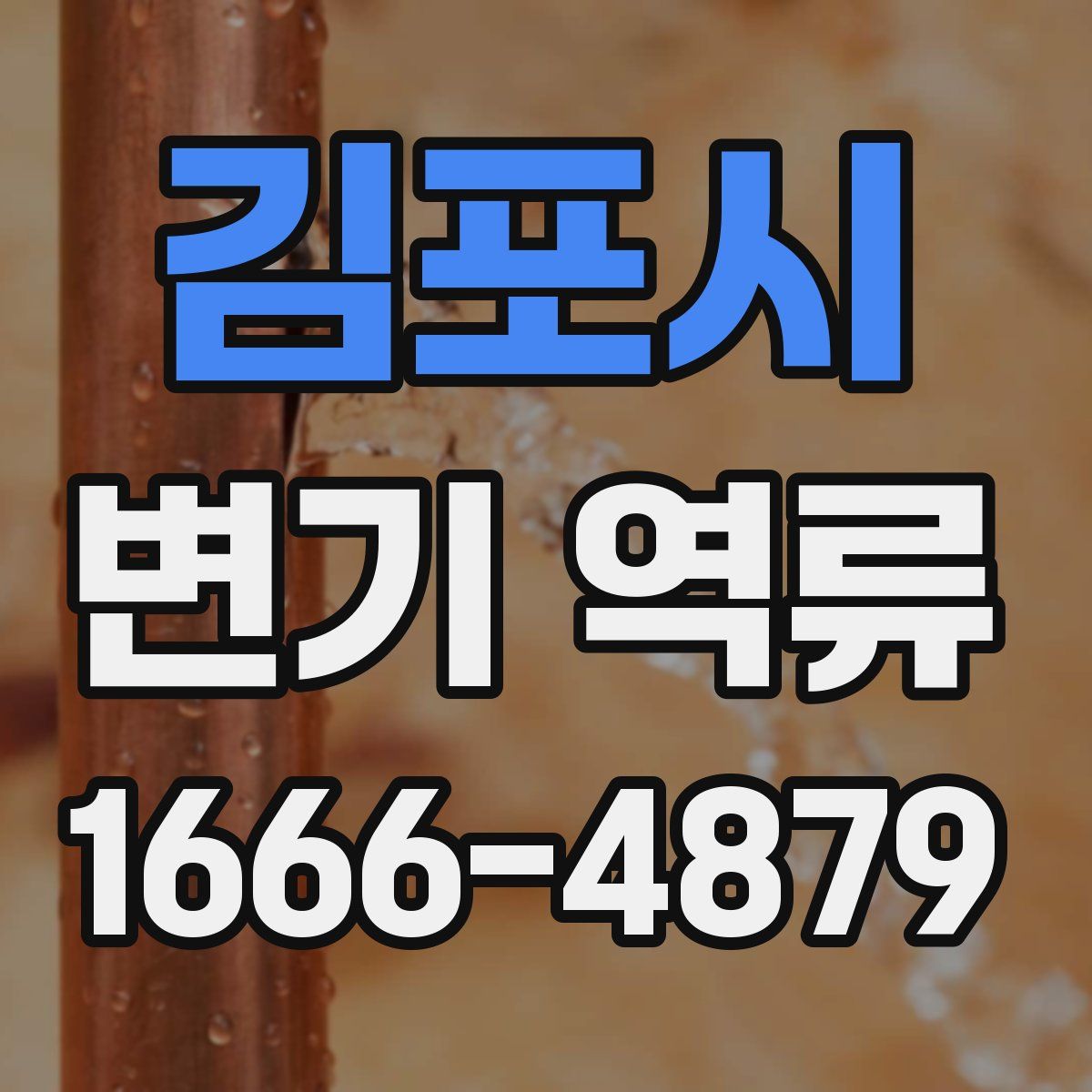 김포시 변기 역류