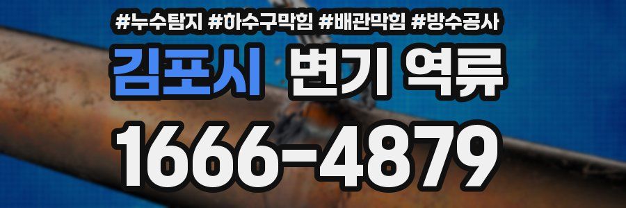 김포시 변기 역류