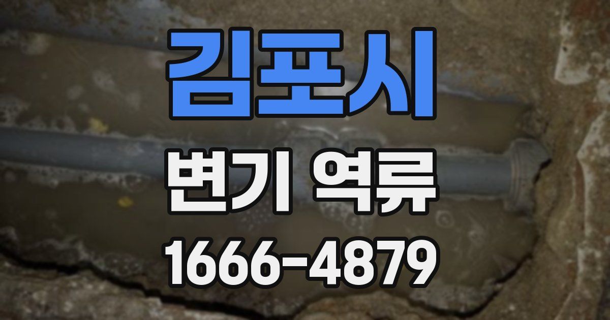 김포시 변기 역류